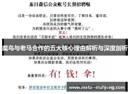 魔鸟与老马合作的五大核心理由解析与深度剖析 魔鸟与老马合作的五大核心理由解析与深度剖析