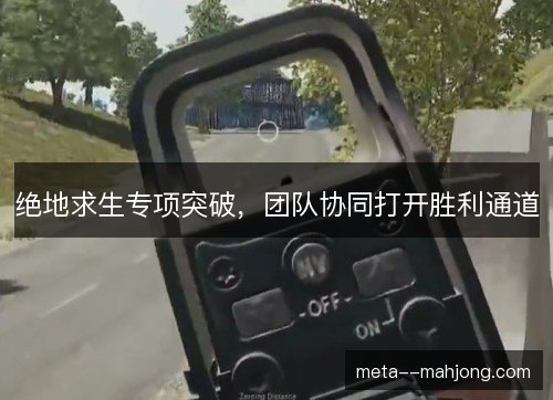 绝地求生专项突破,团队协同打开胜利通道 绝地求生专项突破,团队协同打开胜利通道