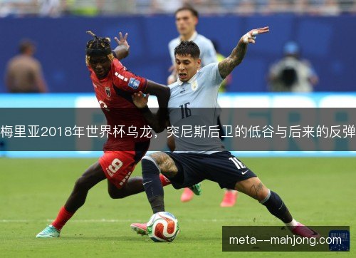 梅里亚2018年世界杯乌龙，突尼斯后卫的低谷与后来的反弹